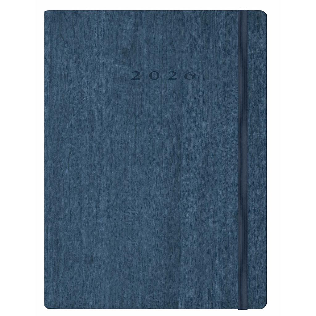 D33-Agenda Dia Wire'o / 6Y-Vivione / 376-Azul